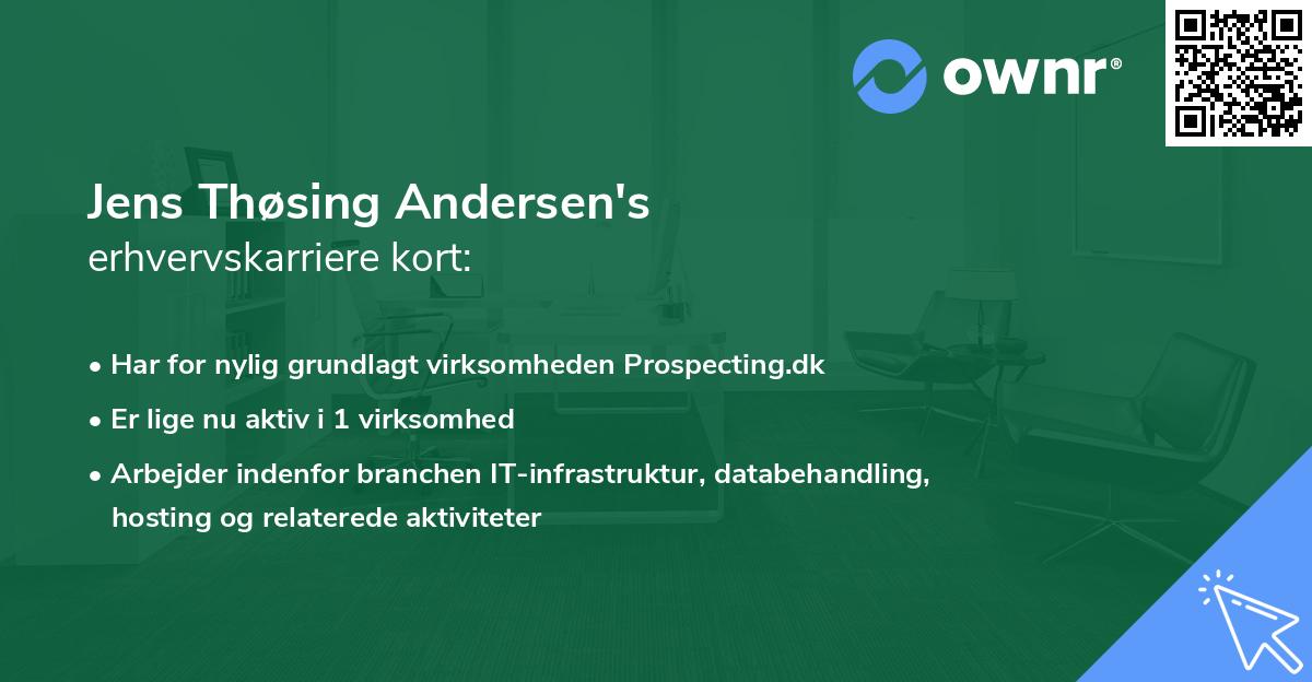 Jens Thøsing Andersen's erhvervskarriere kort