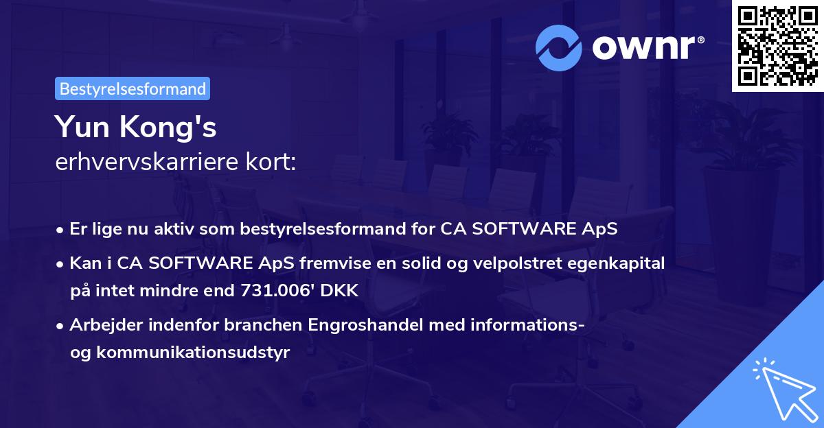 Yun Kong's erhvervskarriere kort