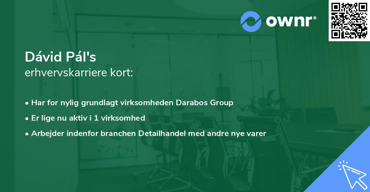 Dávid Pál's erhvervskarriere kort