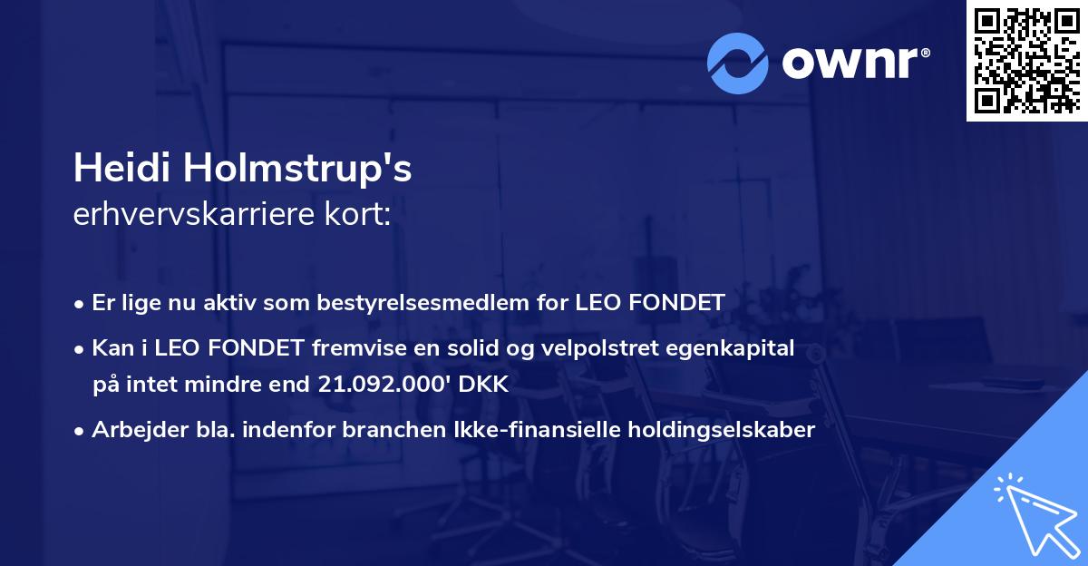 Heidi Holmstrup's erhvervskarriere kort