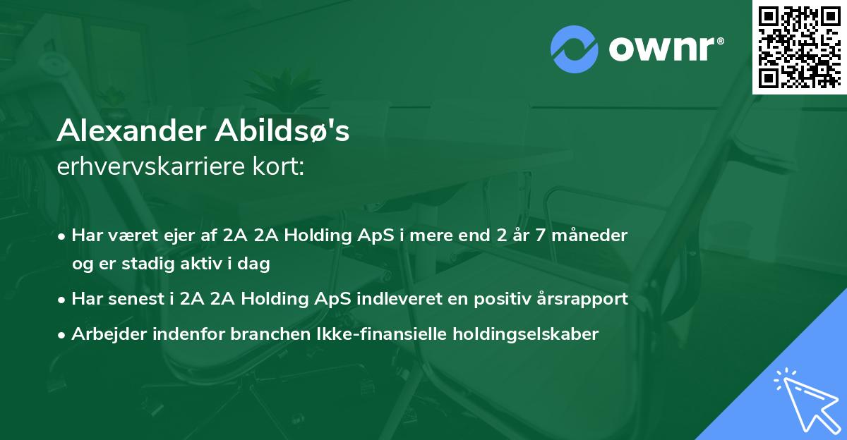 Alexander Abildsø's erhvervskarriere kort