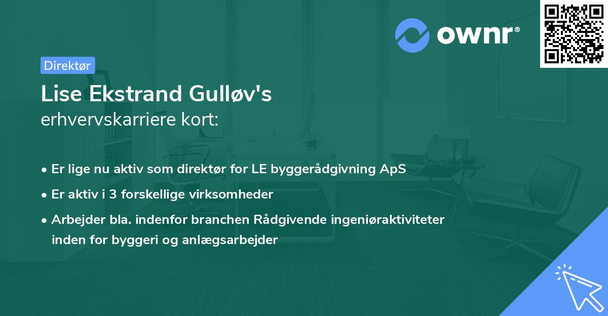 Lise Ekstrand Gulløv's erhvervskarriere kort