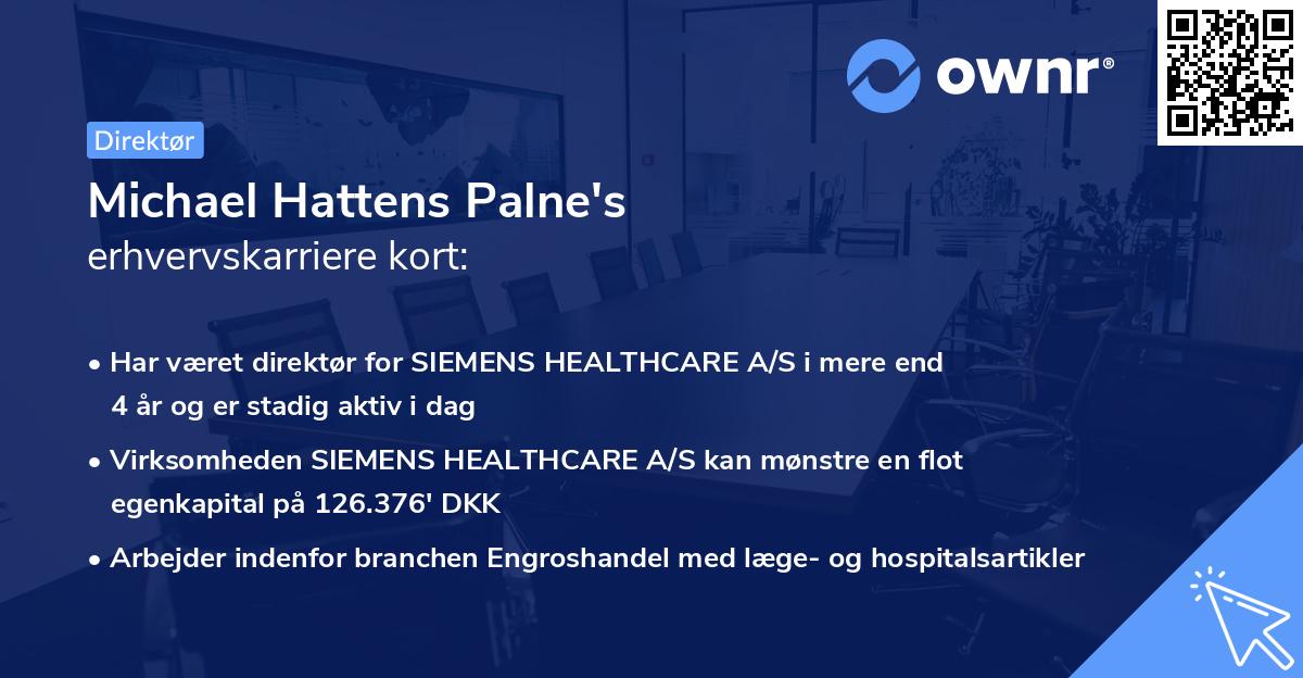 Michael Hattens Palne's erhvervskarriere kort