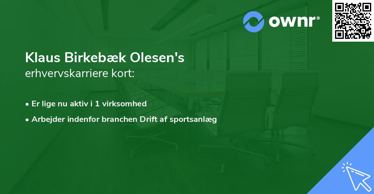 Klaus Birkebæk Olesen's erhvervskarriere kort