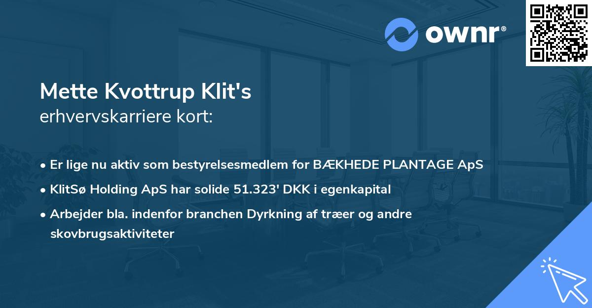 Mette Kvottrup Klit's erhvervskarriere kort