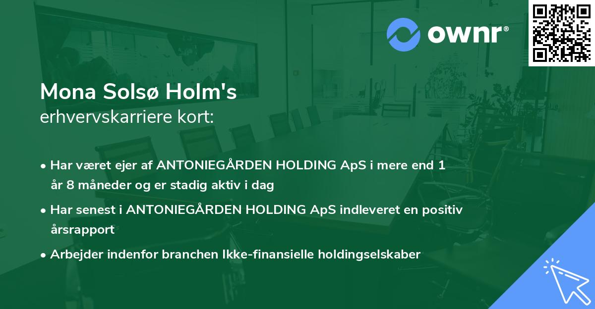 Mona Solsø Holm's erhvervskarriere kort