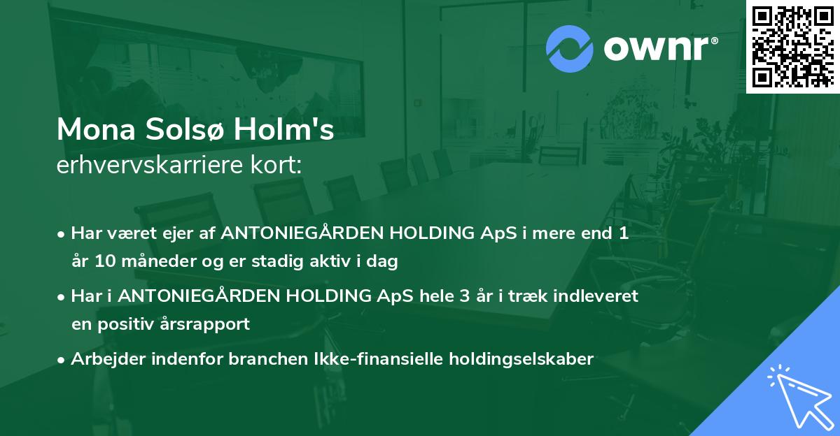 Mona Solsø Holm's erhvervskarriere kort