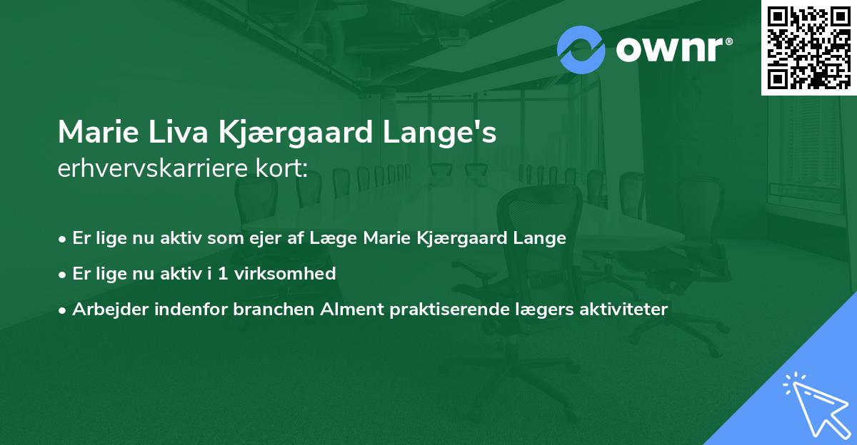 Marie Liva Kjærgaard Lange's erhvervskarriere kort