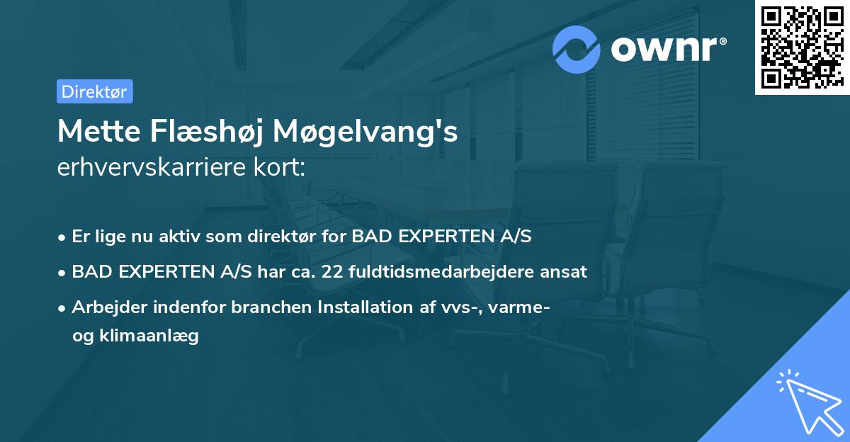 Mette Flæshøj Møgelvang's erhvervskarriere kort