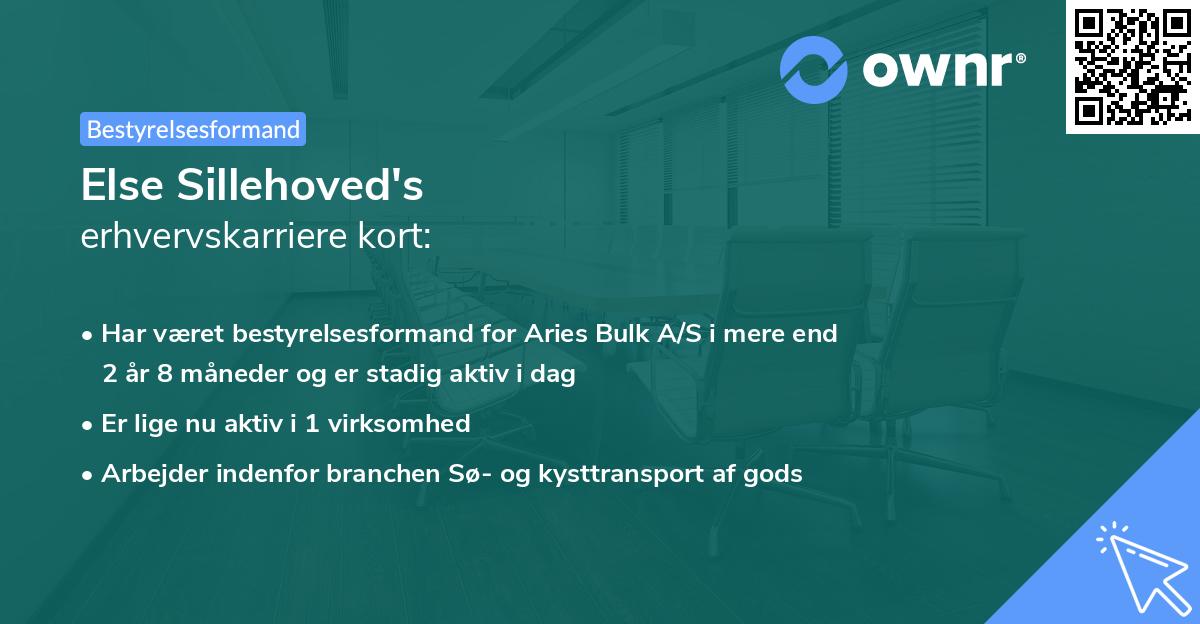 Else Sillehoved's erhvervskarriere kort