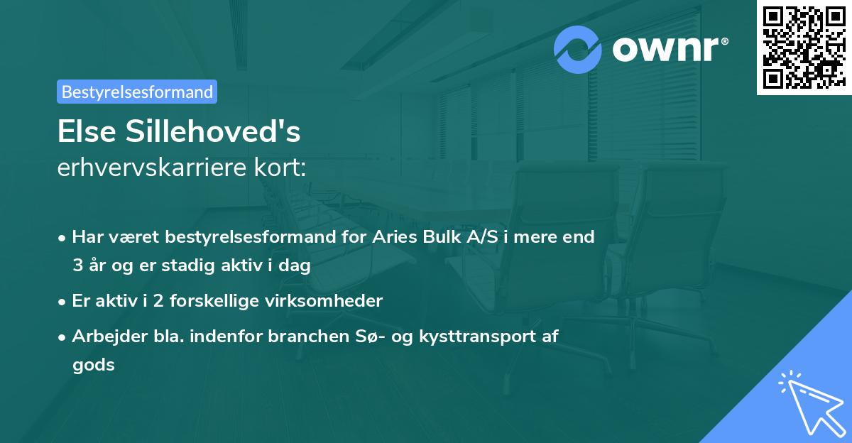 Else Sillehoved's erhvervskarriere kort