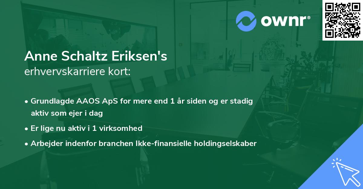Anne Schaltz Eriksen's erhvervskarriere kort