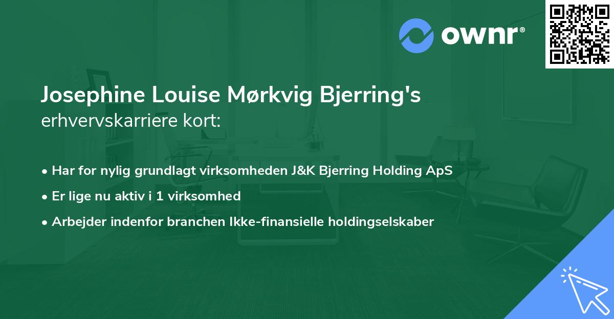 Josephine Louise Mørkvig Bjerring's erhvervskarriere kort