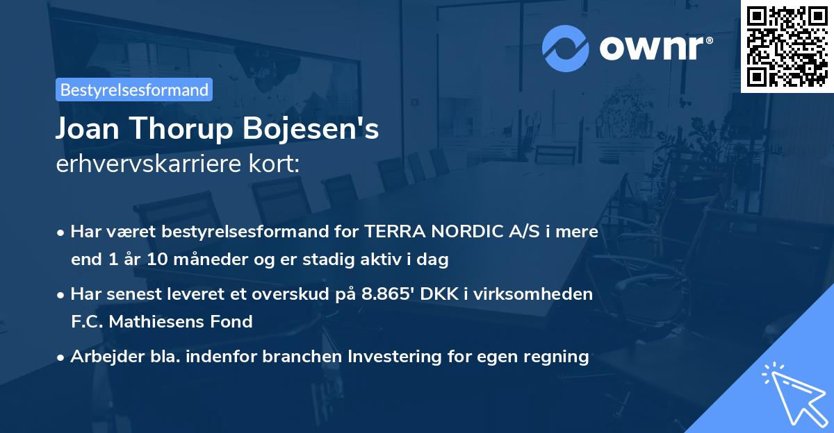 Joan Thorup Bojesen's erhvervskarriere kort