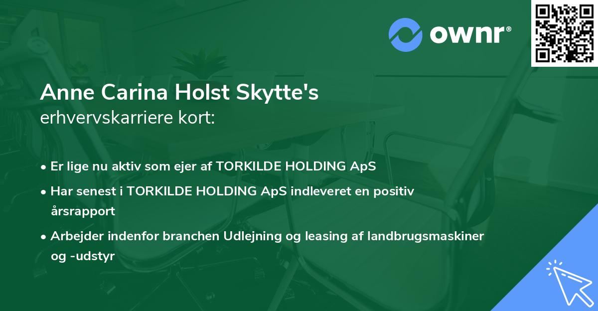 Anne Carina Holst Skytte's erhvervskarriere kort