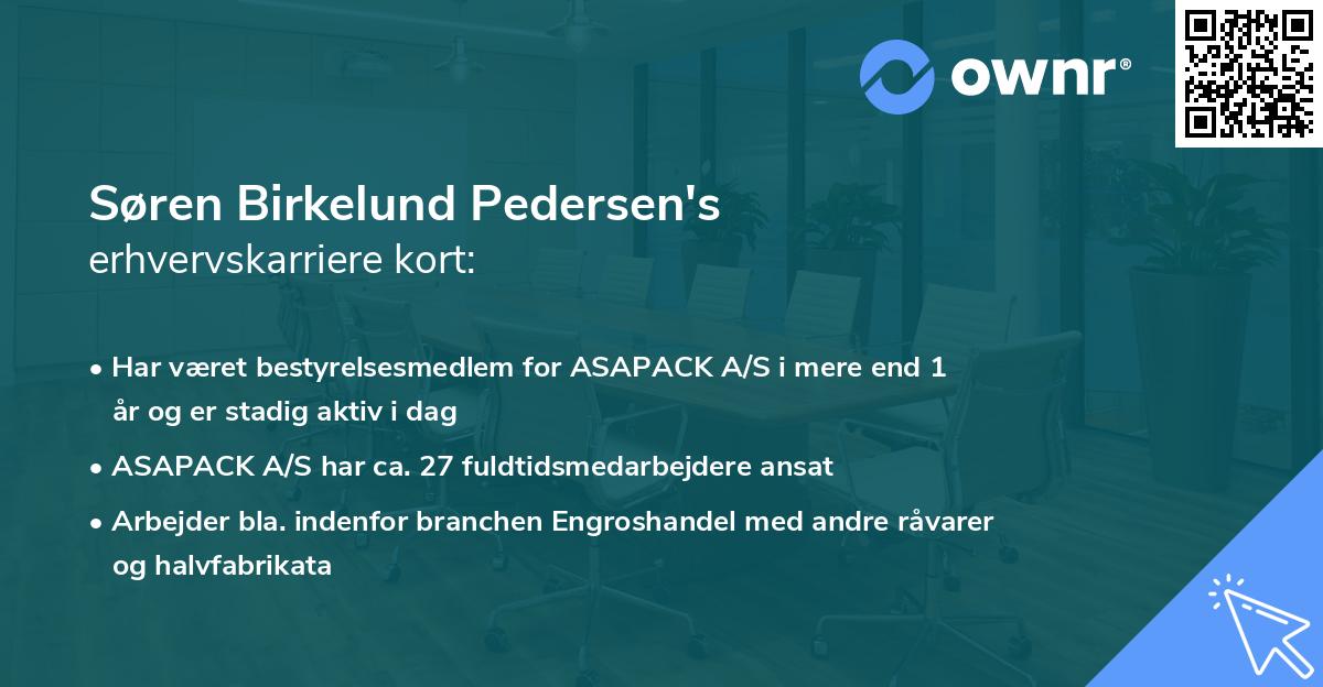 Søren Birkelund Pedersen's erhvervskarriere kort