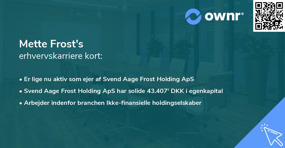 Mette Frost's erhvervskarriere kort