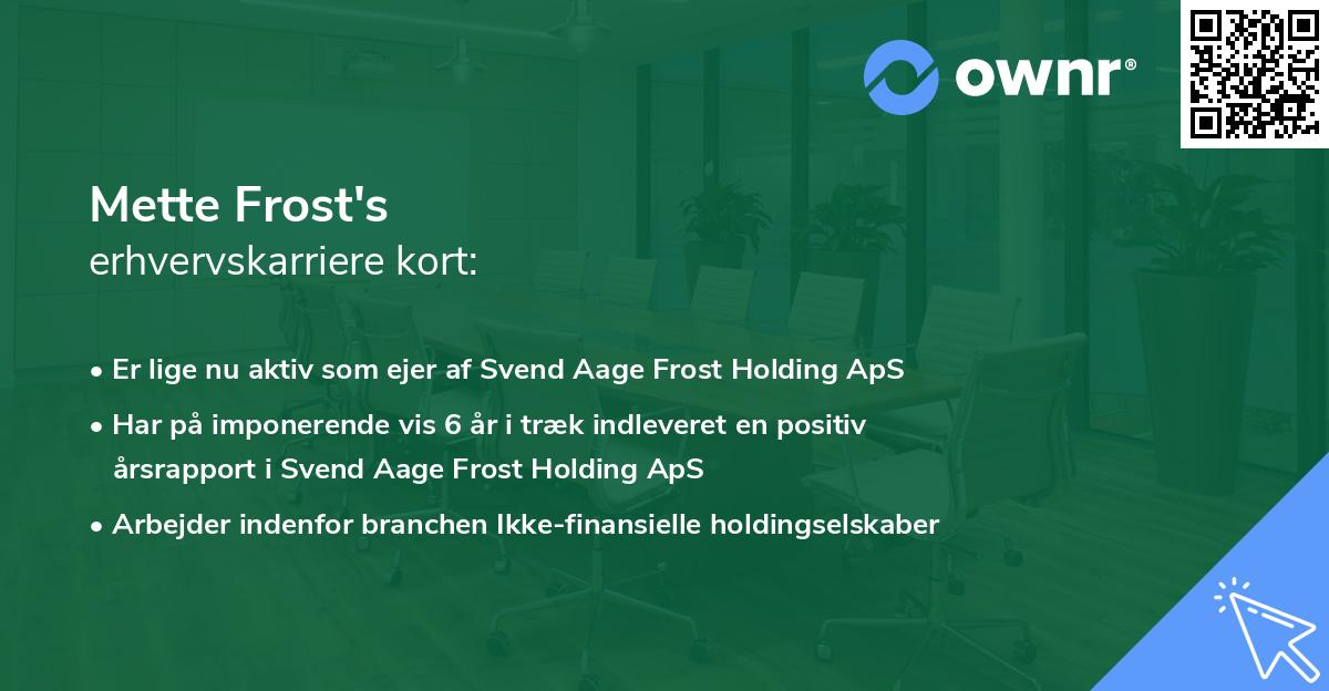 Mette Frost's erhvervskarriere kort