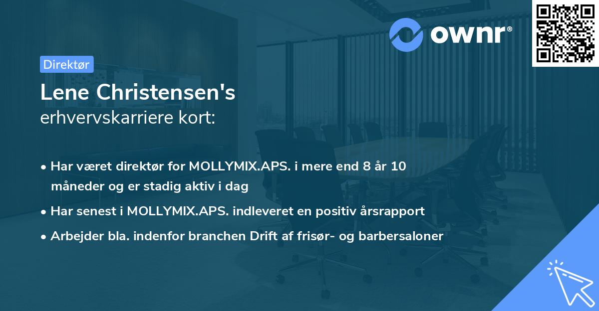 Lene Christensen's erhvervskarriere kort