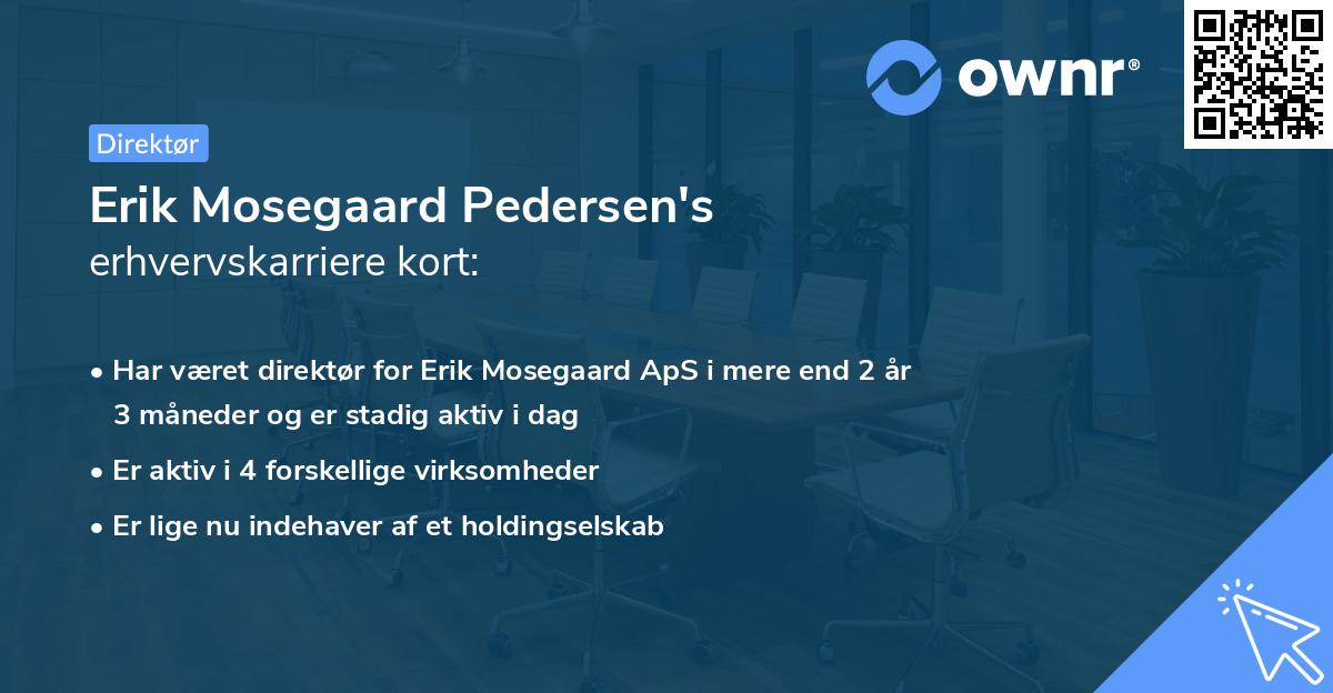 Erik Mosegaard Pedersen's erhvervskarriere kort