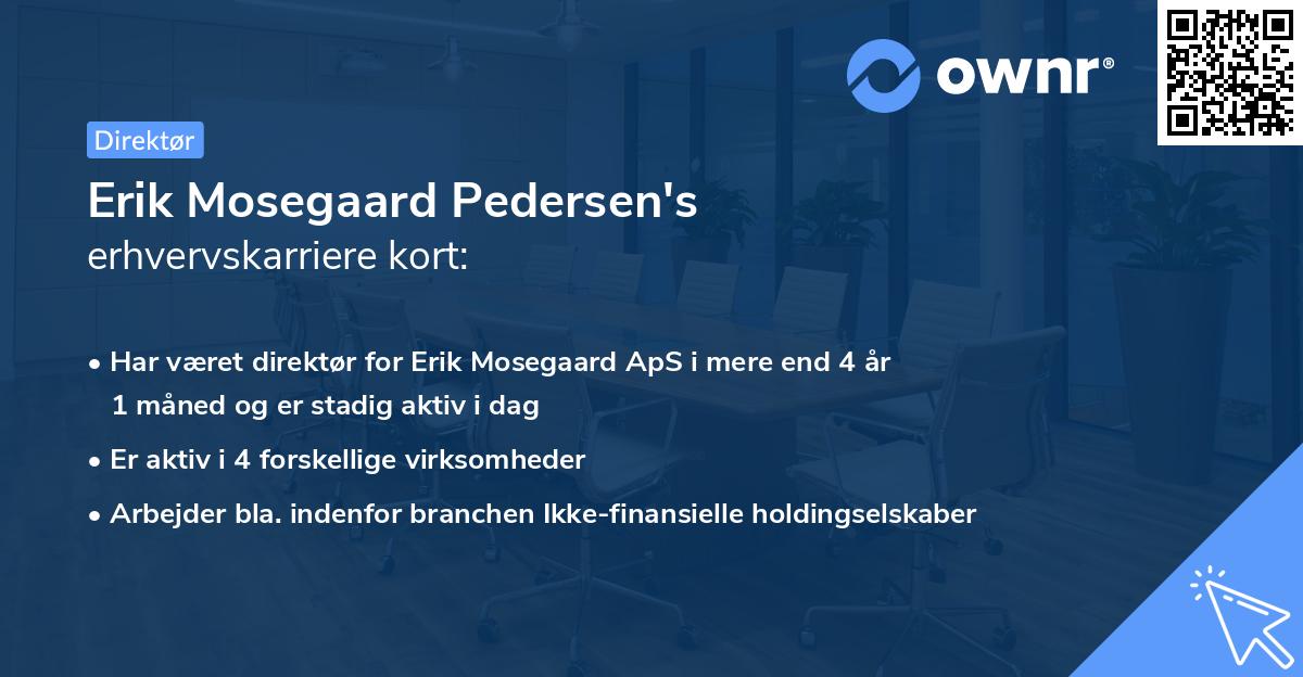 Erik Mosegaard Pedersen's erhvervskarriere kort