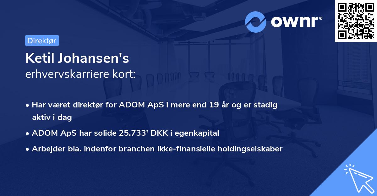 Ketil Johansen's erhvervskarriere kort