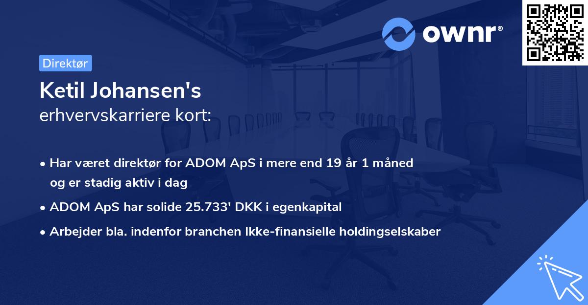Ketil Johansen's erhvervskarriere kort