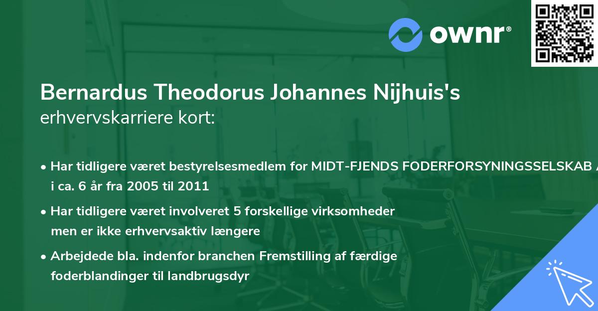 Bernardus Theodorus Johannes Nijhuis's erhvervskarriere kort