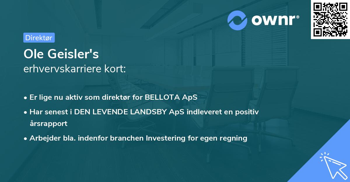 Ole Geisler's erhvervskarriere kort