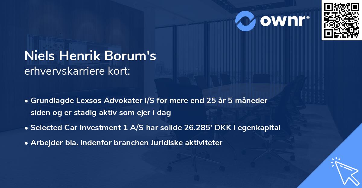 Niels Henrik Borum's erhvervskarriere kort