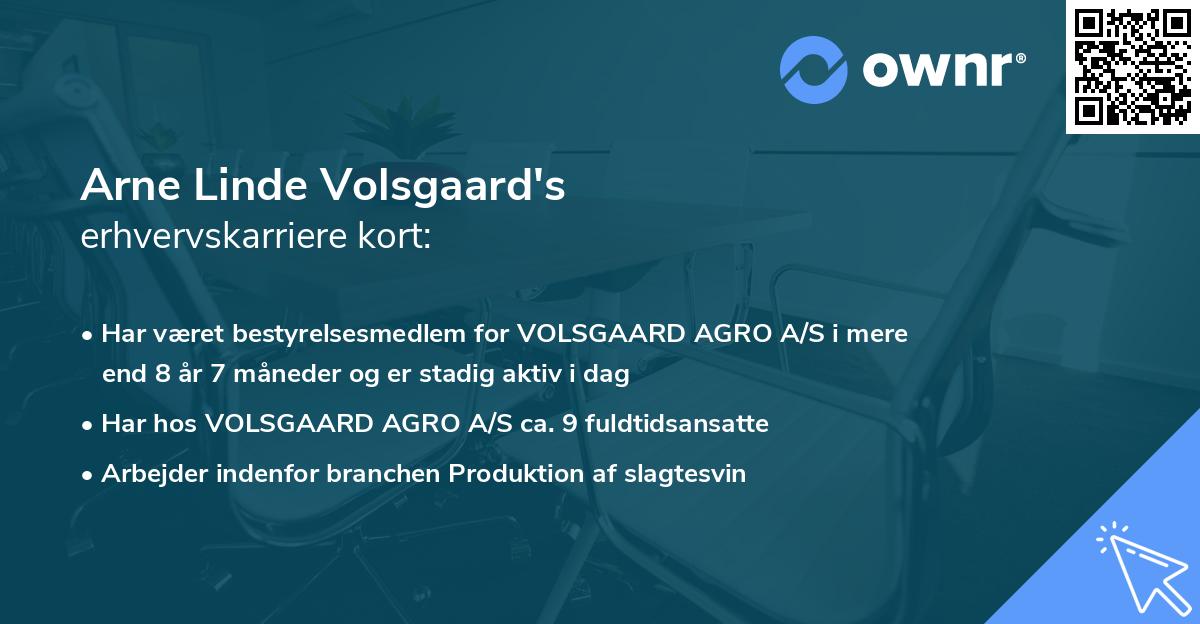 Arne Linde Volsgaard's erhvervskarriere kort