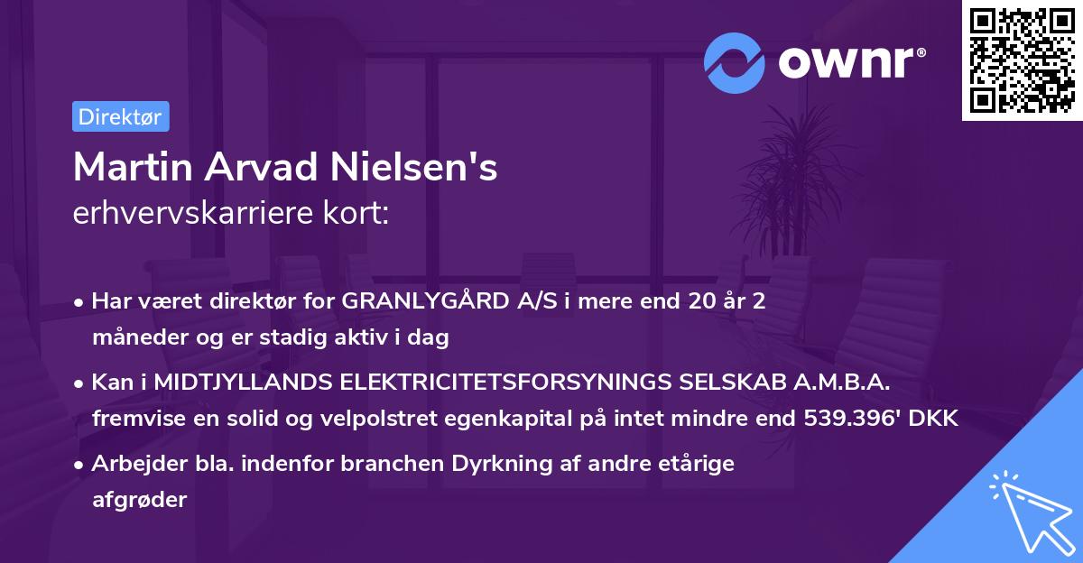 Martin Arvad Nielsen's erhvervskarriere kort