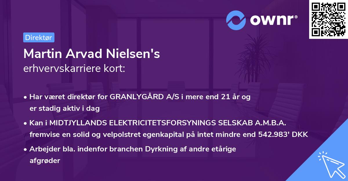 Martin Arvad Nielsen's erhvervskarriere kort
