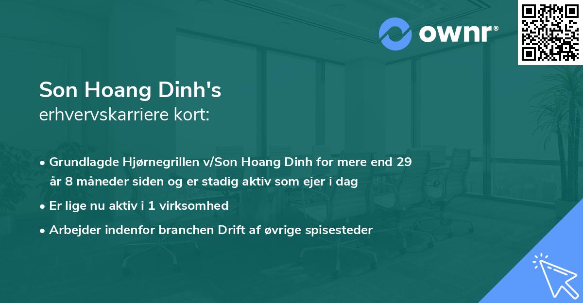 Son Hoang Dinh's erhvervskarriere kort
