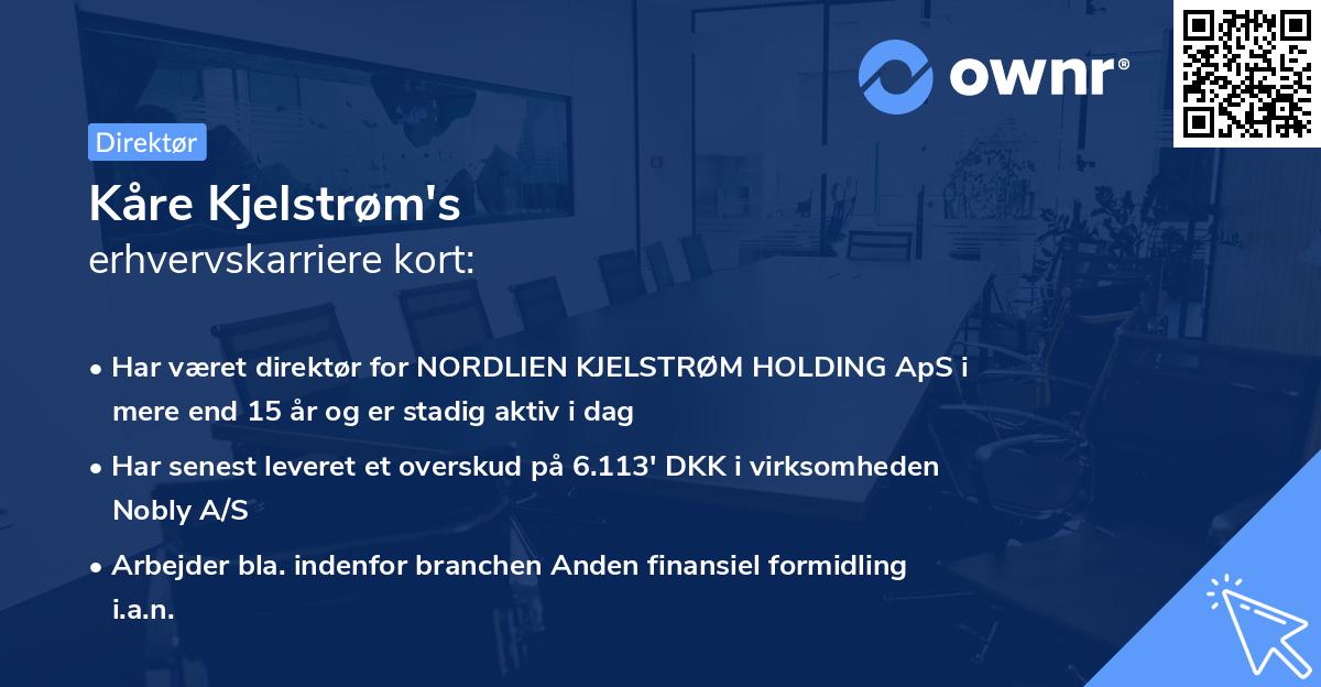 Kåre Kjelstrøm's erhvervskarriere kort