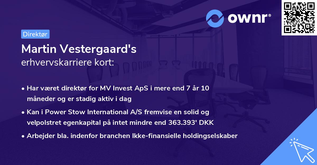 Martin Vestergaard's erhvervskarriere kort