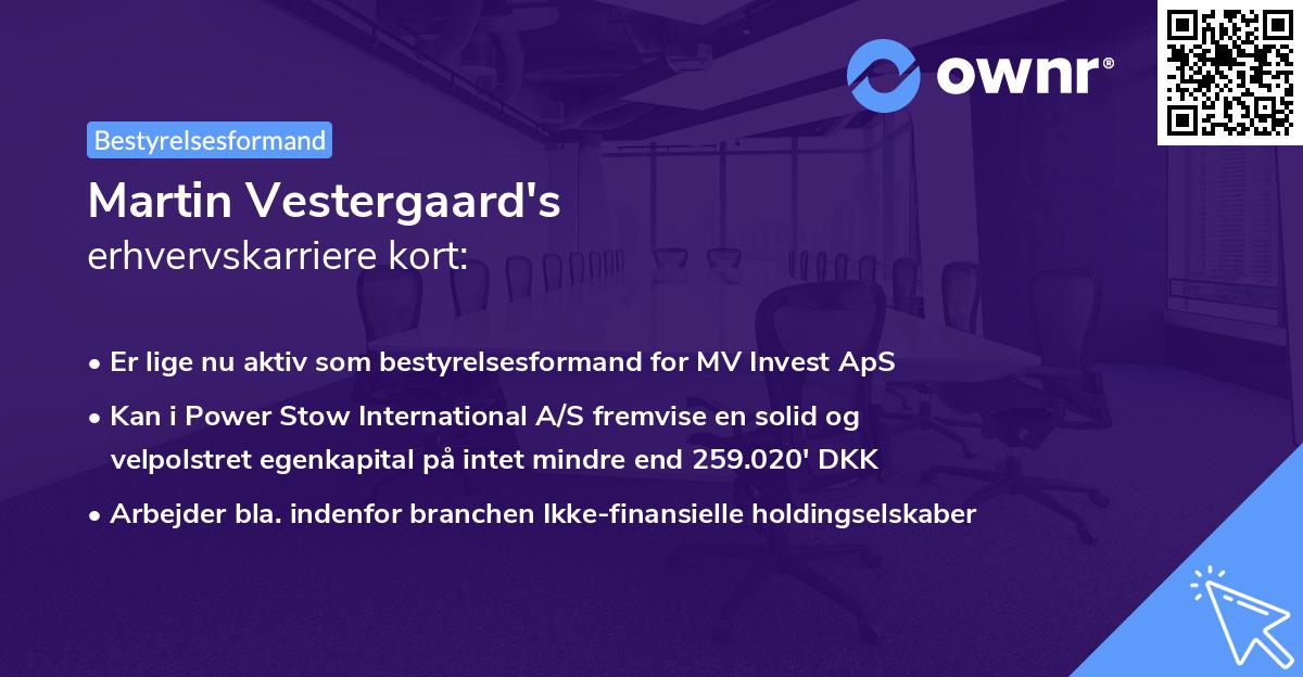 Martin Vestergaard's erhvervskarriere kort
