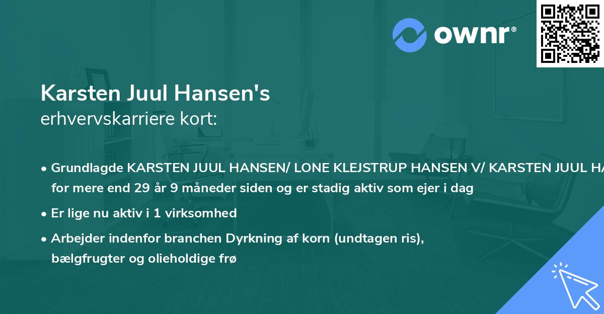 Karsten Juul Hansen's erhvervskarriere kort