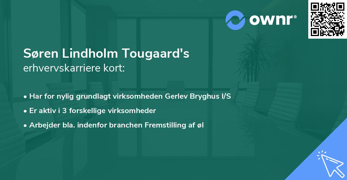 Søren Lindholm Tougaard's erhvervskarriere kort