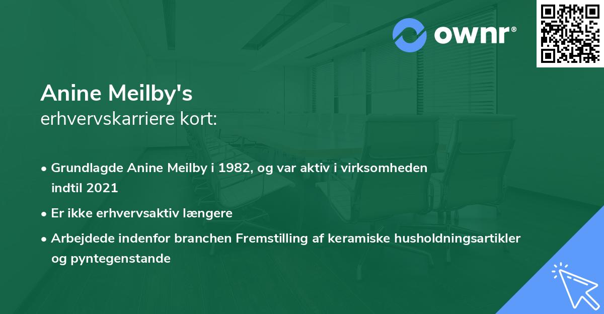 Anine Meilby's erhvervskarriere kort