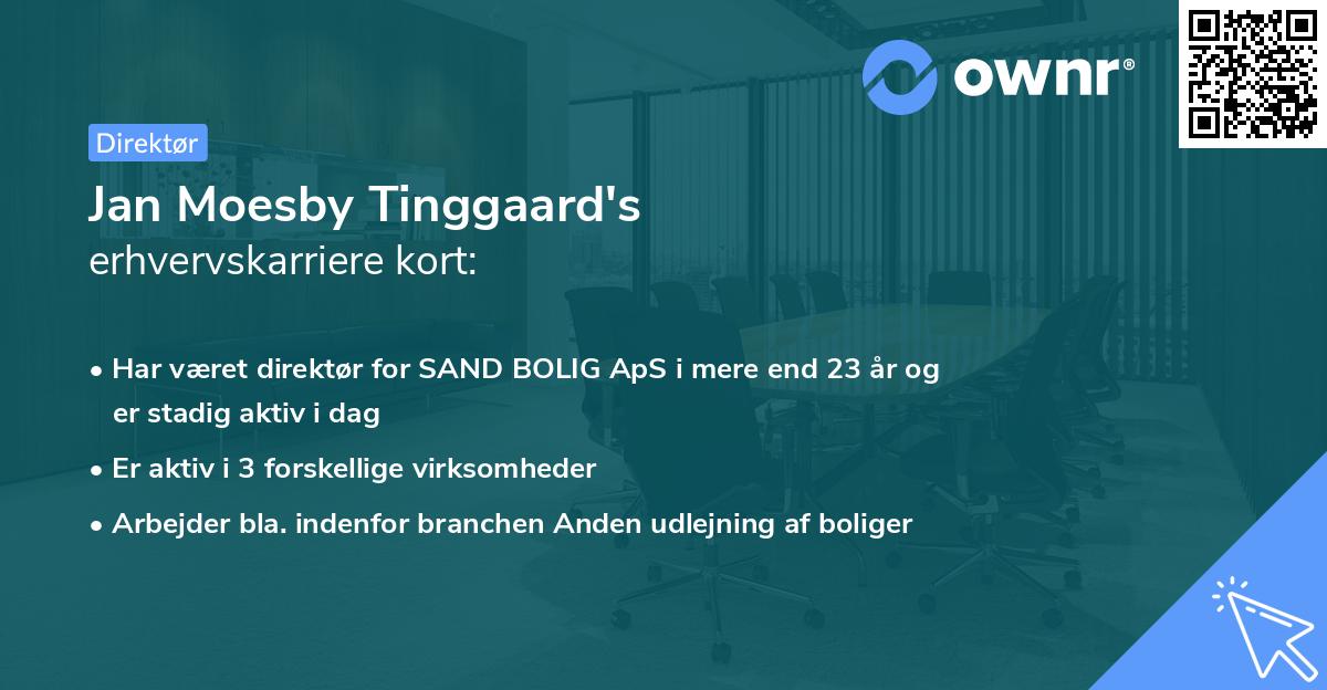 Jan Moesby Tinggaard's erhvervskarriere kort