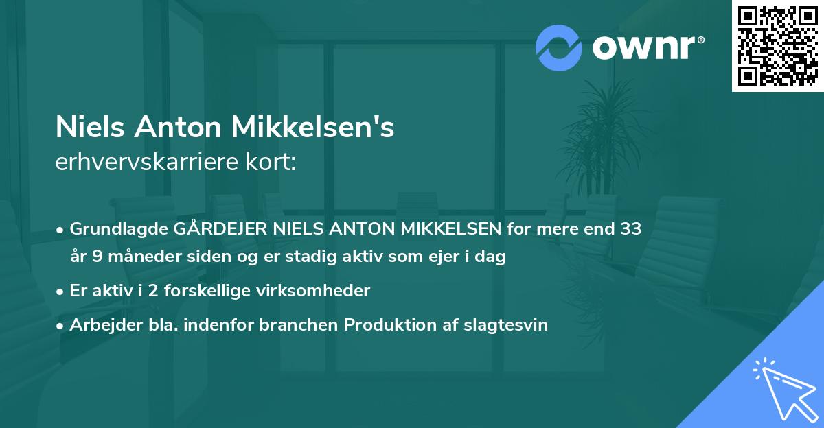 Niels Anton Mikkelsen's erhvervskarriere kort