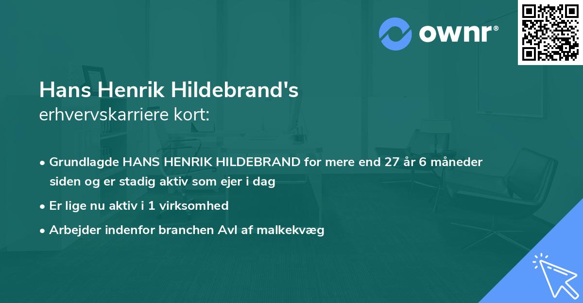 Hans Henrik Hildebrand's erhvervskarriere kort