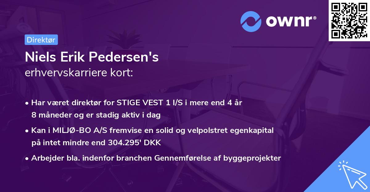 Niels Erik Pedersen's erhvervskarriere kort