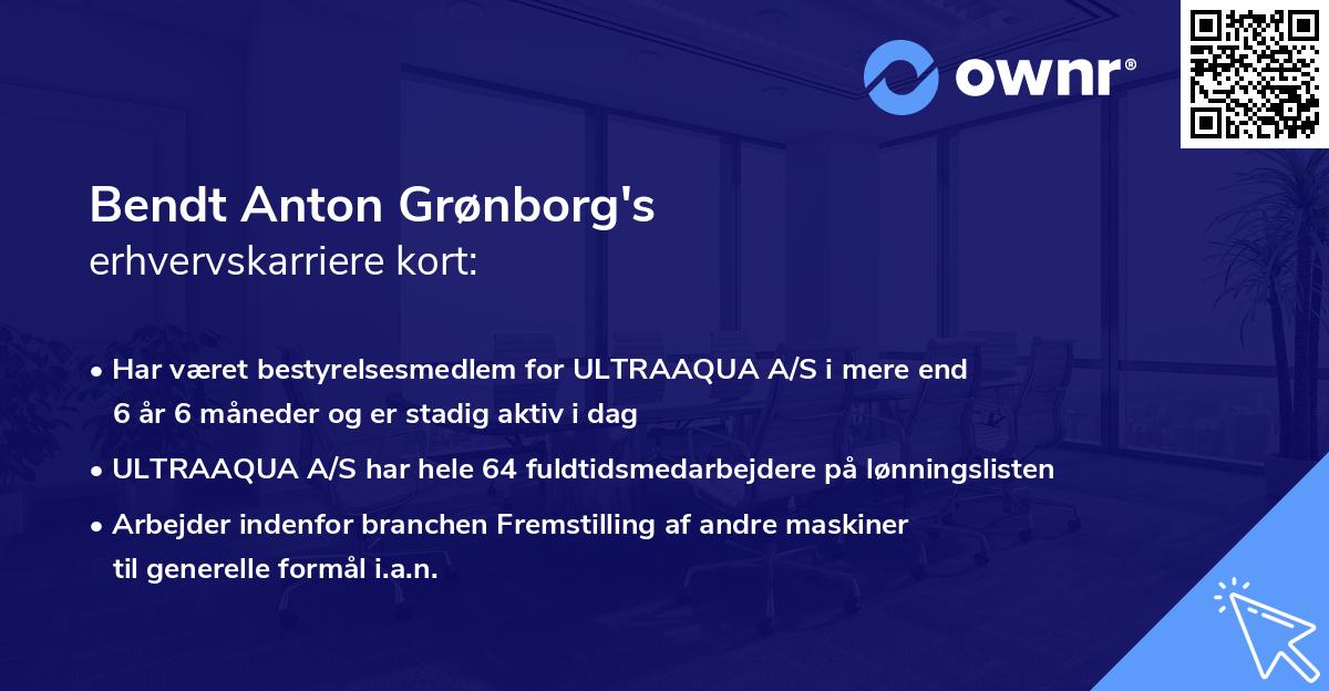 Bendt Anton Grønborg's erhvervskarriere kort
