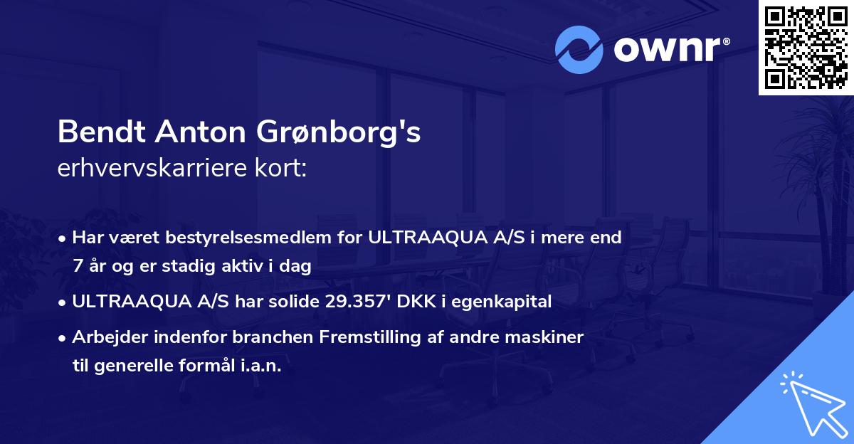 Bendt Anton Grønborg's erhvervskarriere kort