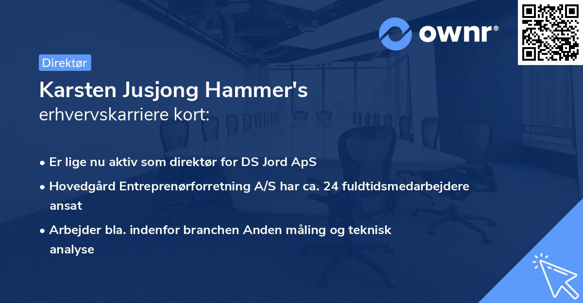 Karsten Jusjong Hammer's erhvervskarriere kort