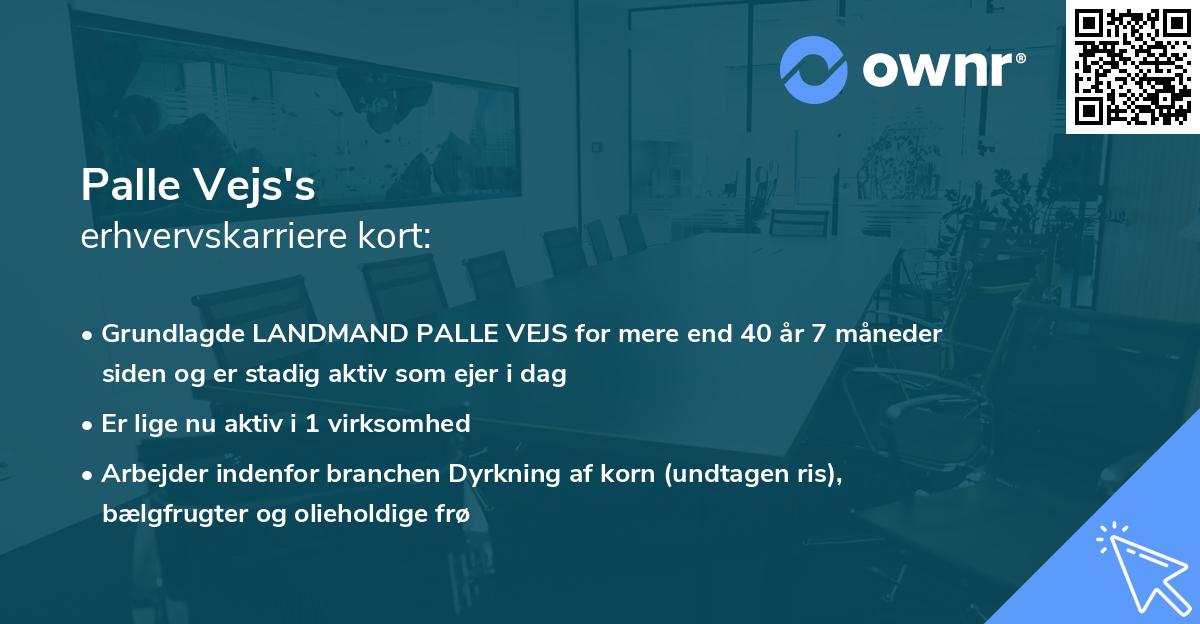 Palle Vejs's erhvervskarriere kort