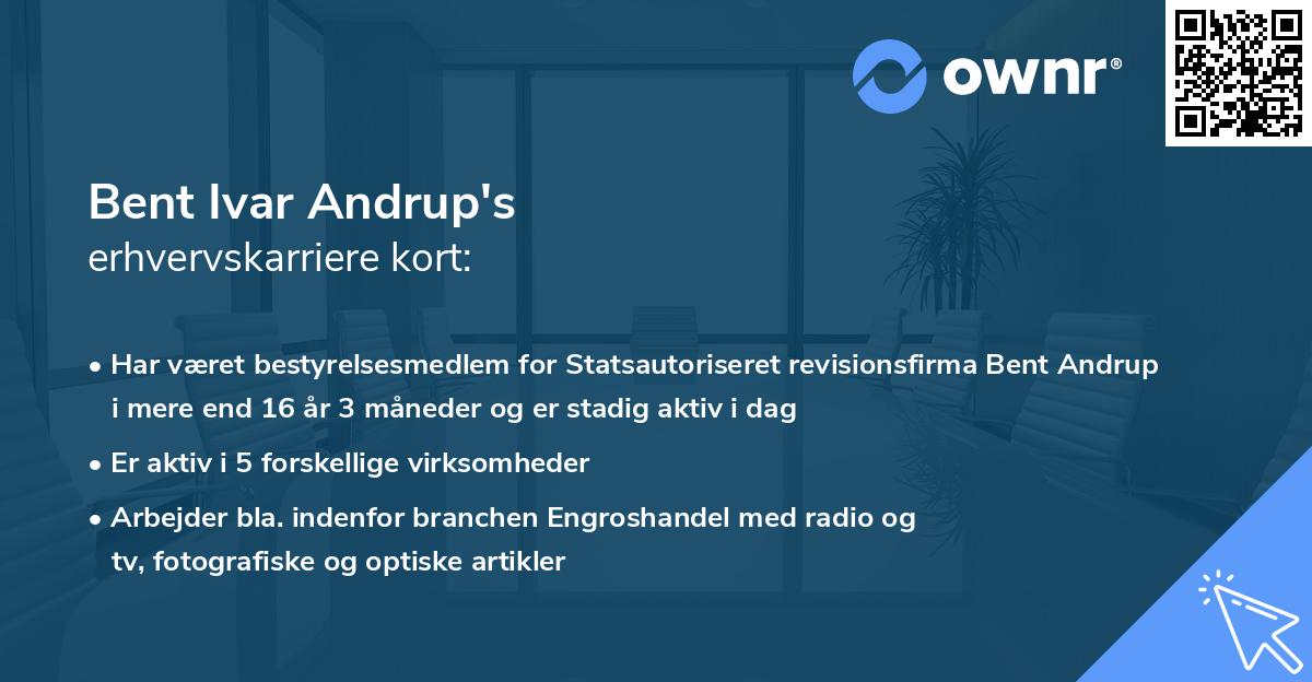 Bent Ivar Andrup's erhvervskarriere kort