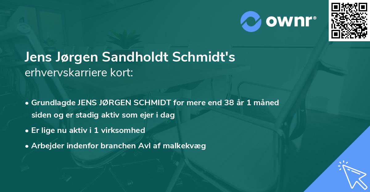 Jens Jørgen Sandholdt Schmidt's erhvervskarriere kort